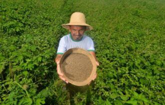 Wilson Lima investe R$ 1,8 milhão para compra de sementes de malva