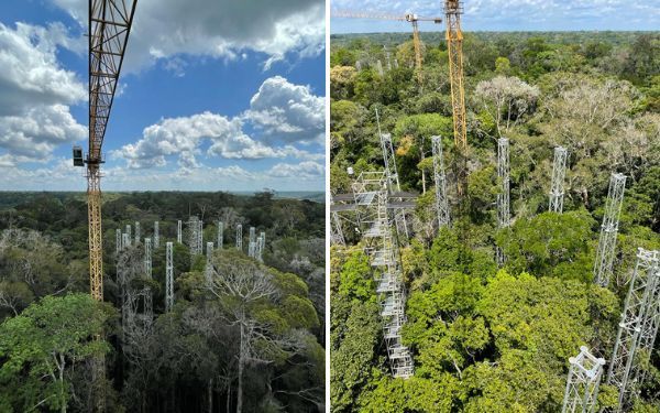 Testes em torres de fertilização com carbono na Amazônia iniciarão este ano
