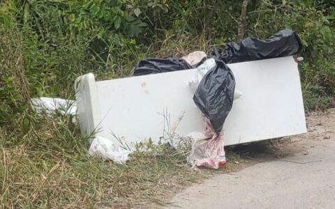Geladeira com corpo esquartejado é jogada em ramal de Manaus