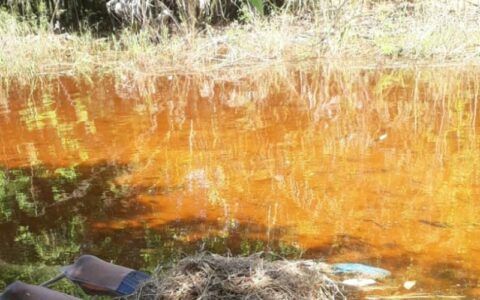 'Madonna' é encontrada morta em lago no Amazonas