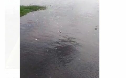 Corpo de homem é encontrado boiando próximo à ponte do São Raimundo