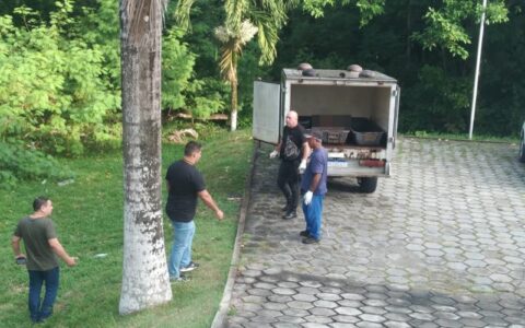 Corpo de homem é encontrado acorrentado em igarapé de Manaus