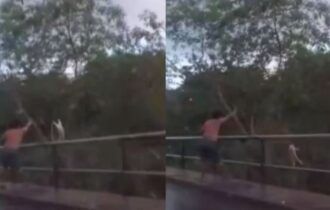 Vídeo mostra homem jogando gato de cima de ponte em Manaus