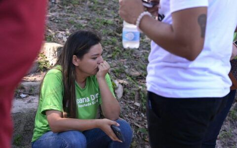 Pedido de investigação contra Joana deve ser analisado na Aleam