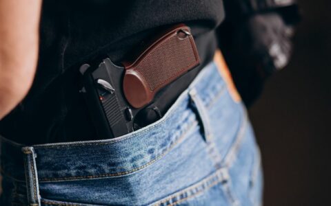 Comissão de Segurança autoriza estados a legislarem sobre armas