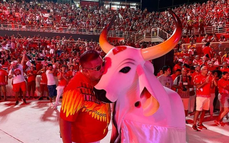 David Assayag e o Garantido