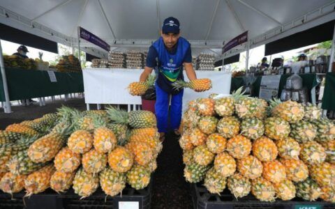 ADS promove edição especial da Feira de Produtos Regionais