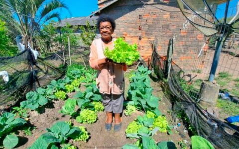 Conaq abre inscrições para projetos de agricultura quilombola