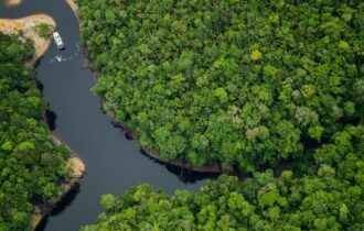Amazonas é o melhor lugar para o ecoturismo, aponta Forbes