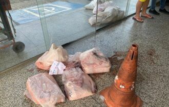 Embarcação é apreendida com carnes e animais ilegais no porto do São Raimundo