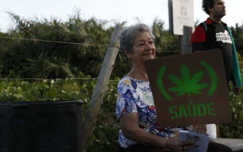 Comércio legal de maconha no Uruguai supera 10 toneladas em seis anos