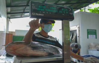 ‘Feira do Tambaqui’ tem peixe a partir de R$ 10 em Manaus
