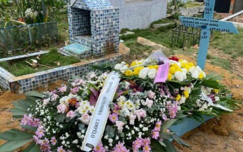 Família acredita que bebê de grávida assassinada está vivo