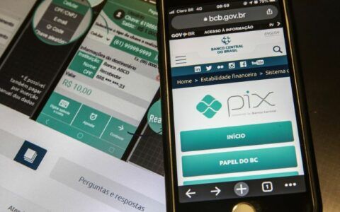 Campos Neto diz que consumidor poderá fazer compras com crédito via Pix