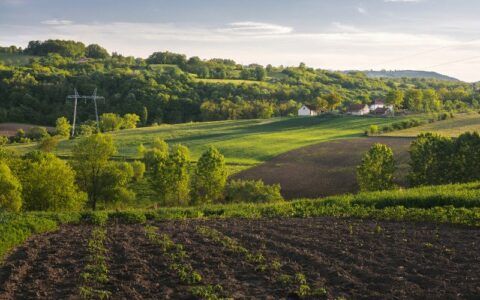Prazo para envio da declaração do imposto rural começa nesta segunda-feira