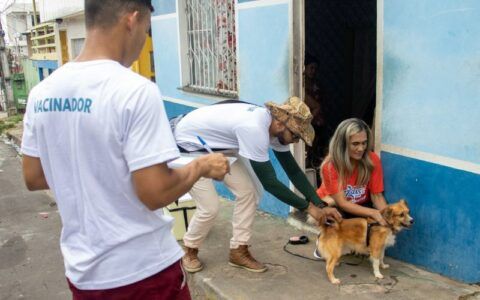 Confira a lista dos aprovados para trabalhar como vacinadores