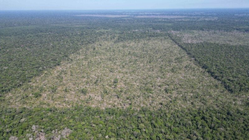 Desmatamento na Amazônia Legal sobe 18% entre agosto e março