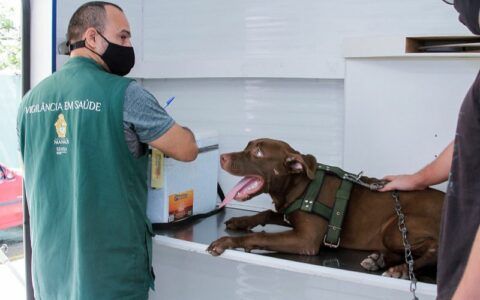 Agendamento para castração de cães e gatos inicia na próxima segunda-feira