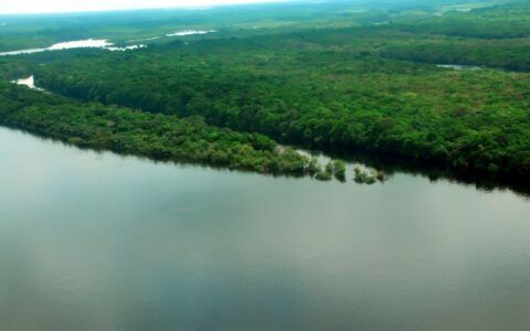 Oito chefes de Estado discutirão políticas na Cúpula da Amazônia