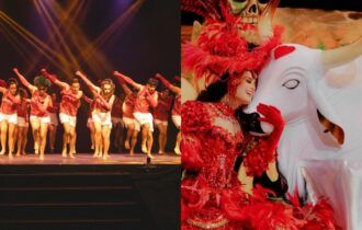Gandhicats Project realiza Mostra de Dança com itens do Boi Garantido