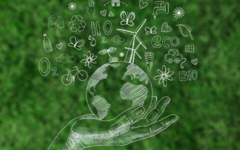 UEA abre inscrições para especialização em Direito Ambiental