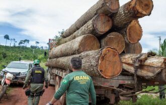 Multas por desmatamento na Amazônia caem 90% com protesto do Ibama