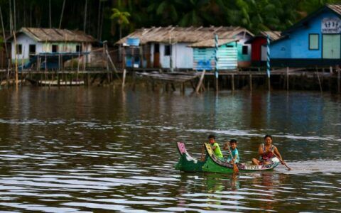 Indígena defende participação igualitária na Cúpula da Amazônia