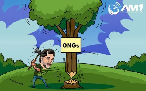 Plínio e a incansável luta para derrubar ONGs