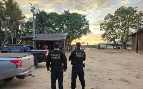 Crimes ambientais na Amazônia são investigados em operações da PF