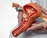 Edital abre espaço para novos estudos sobre endometriose