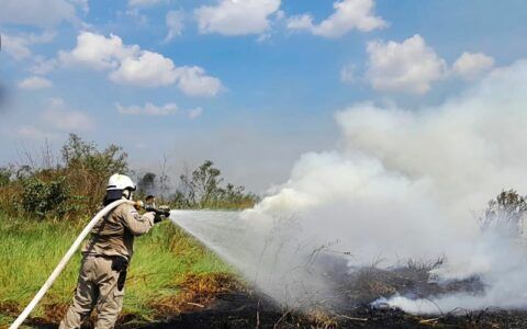 Em agosto, focos de calor diminuem no AM em relação a 2022, diz Sema
