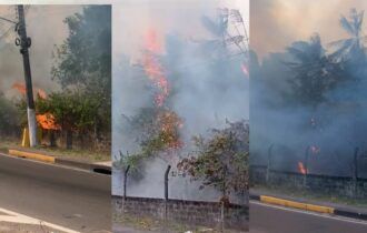 Incêndio de grande proporção atinge área de mata na av. das Torres