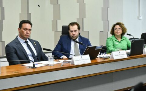 CPI das ONGS (CPIONGS) realiza reunião para ouvir depoimento da diretora do Instituto do Homem e Meio Ambiente da Amazônia (Imazon) (Foto: Geraldo Magela/Agência Senado)