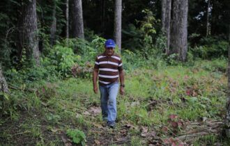 Combater a pobreza para conservar florestas é debate no Dia da Amazônia