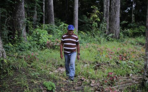 Combater a pobreza para conservar florestas é debate no Dia da Amazônia