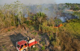 No AM, 4 municípios estão em situação de emergência por conta de queimadas