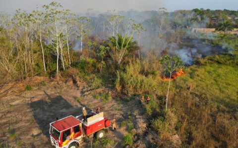No AM, 4 municípios estão em situação de emergência por conta de queimadas