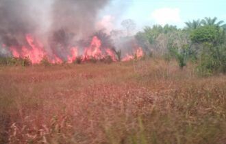 Famílias se desesperam após incêndio em área de mata se alastrar em Autazes