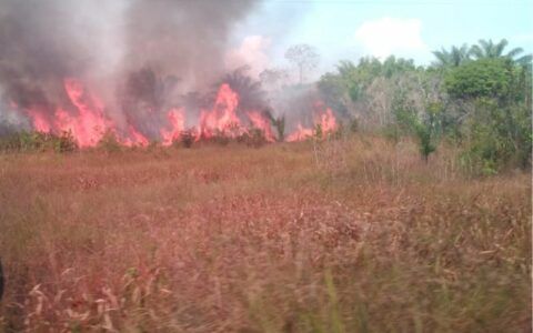 Famílias se desesperam após incêndio em área de mata se alastrar em Autazes