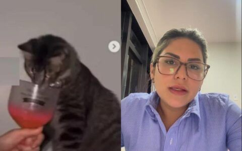 Advogada que ofereceu vodka a gato é exonerada da Seap