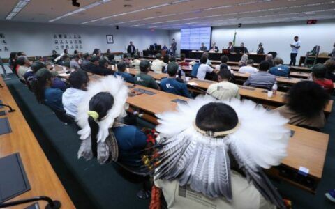 Especialistas defendem regras trabalhistas para trabalho socioambiental