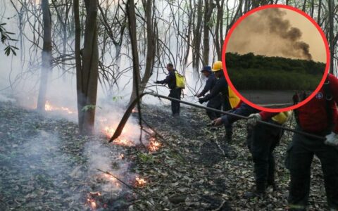 Especialista diz que o cenário de queimadas deste ano pode ser maior que em 2015
