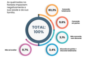 queimadas
