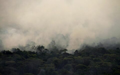 Queimadas na floresta