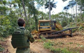 Força-tarefa reduziu em 80% as áreas de garimpo ilegal no Território Yanomami