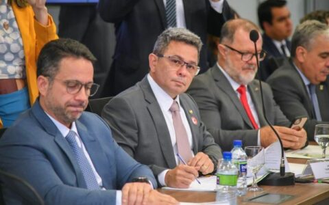 Tadeu destaca união entre Norte e Nordeste para evitar perda de receita (Foto: Ricardo Machado / Secretaria-Geral da Vice-Governadoria)