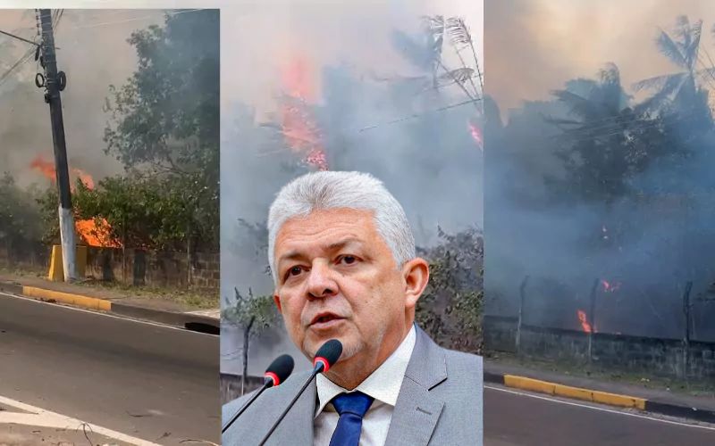 Dados contradizem fala do vereador Alonso sobre incêndios em Manaus