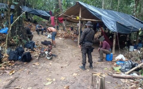 Ibama impede desmatamento de mil hectares em Boca do Acre
