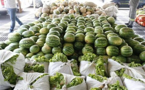 Inscrições para Programa de Aquisição de Alimentos encerram nesta sexta-feira