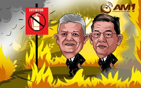 Comissão de Meio Ambiente na CMM faz vista grossa para incêndios em Manaus